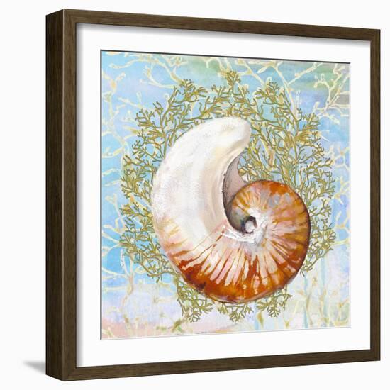 Shell Medley III-Diannart-Framed Art Print