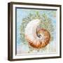 Shell Medley III-Diannart-Framed Art Print