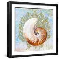 Shell Medley III-Diannart-Framed Art Print