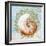 Shell Medley III-Diannart-Framed Art Print