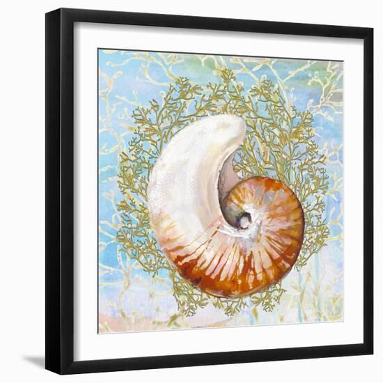 Shell Medley III-Diannart-Framed Art Print