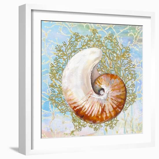 Shell Medley III-Diannart-Framed Art Print