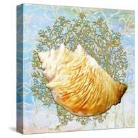 Shell Medley IV-Diannart-Stretched Canvas