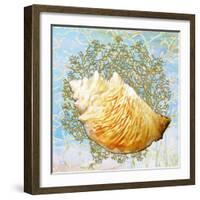 Shell Medley IV-Diannart-Framed Art Print