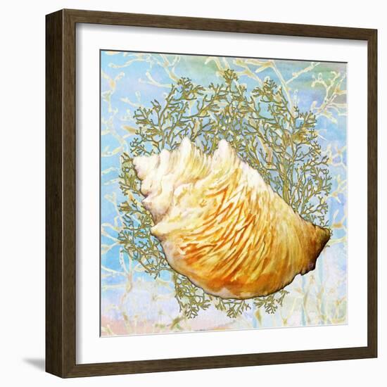 Shell Medley IV-Diannart-Framed Art Print