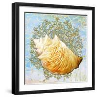 Shell Medley IV-Diannart-Framed Art Print