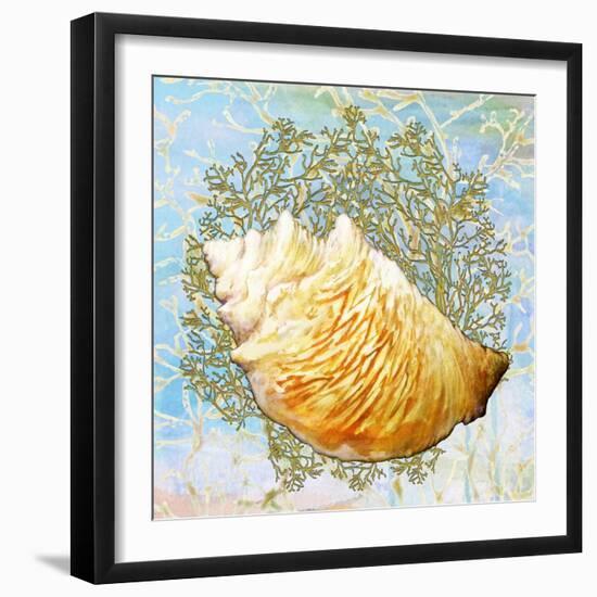 Shell Medley IV-Diannart-Framed Art Print