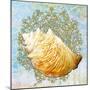 Shell Medley IV-Diannart-Mounted Art Print