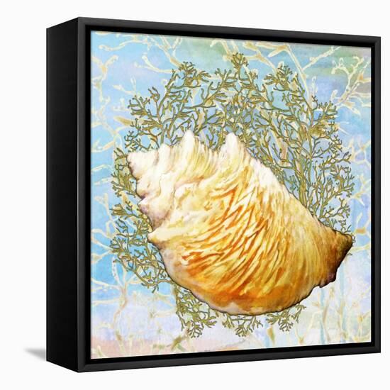 Shell Medley IV-Diannart-Framed Stretched Canvas