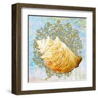 Shell Medley IV-Diannart-Framed Art Print