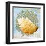 Shell Medley IV-Diannart-Framed Art Print