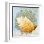 Shell Medley IV-Diannart-Framed Art Print