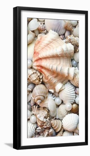 Shell Menagerie I-Rachel Perry-Framed Photographic Print