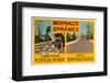 Shell Mexhalte & Spramex-null-Framed Art Print