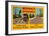 Shell Mexhalte & Spramex-null-Framed Art Print