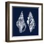 Shell Negative I-N. Harbick-Framed Art Print