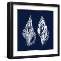 Shell Negative I-N. Harbick-Framed Art Print