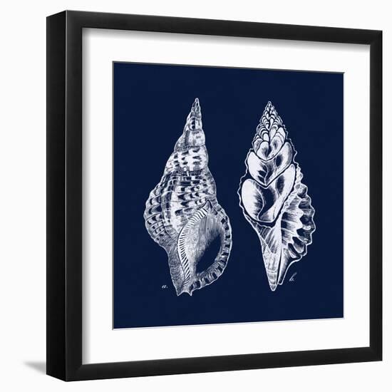 Shell Negative I-N. Harbick-Framed Art Print