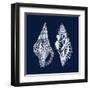 Shell Negative I-N. Harbick-Framed Art Print