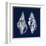 Shell Negative I-N. Harbick-Framed Art Print