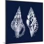 Shell Negative I-N. Harbick-Mounted Art Print