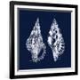 Shell Negative I-N. Harbick-Framed Art Print