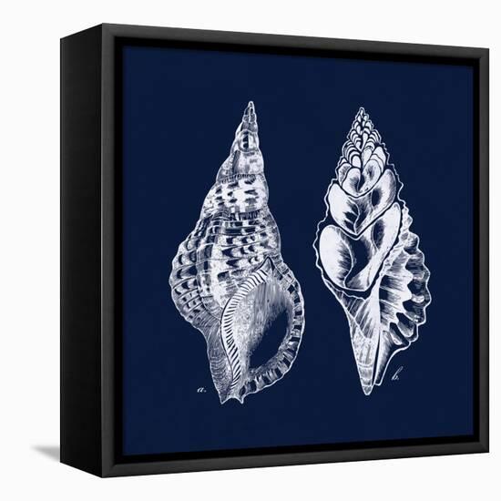Shell Negative I-N. Harbick-Framed Stretched Canvas