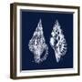 Shell Negative I-N. Harbick-Framed Art Print