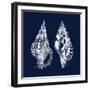 Shell Negative I-N. Harbick-Framed Art Print