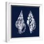 Shell Negative I-N. Harbick-Framed Art Print