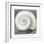 Shell No. I, 1928-Georgia O'Keeffe-Framed Art Print