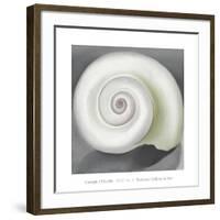 Shell No. I, 1928-Georgia O'Keeffe-Framed Art Print