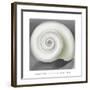 Shell No. I, 1928-Georgia O'Keeffe-Framed Art Print