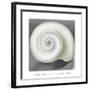 Shell No. I, 1928-Georgia O'Keeffe-Framed Art Print