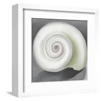 Shell No. I, 1928-Georgia O'Keeffe-Framed Art Print