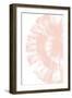 Shell No1-Martina-Framed Giclee Print