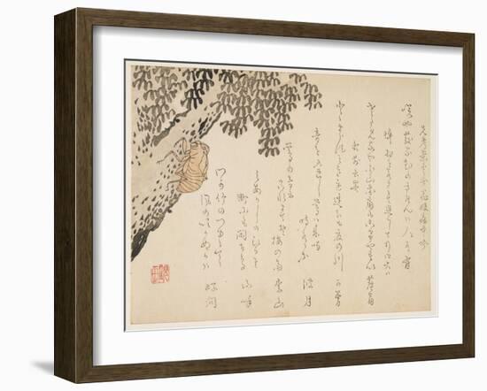 Shell of a Cicada, C.1848-53-Kangyoku-Framed Giclee Print