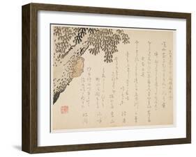 Shell of a Cicada, C.1848-53-Kangyoku-Framed Giclee Print