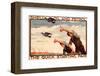 Shell Oil and Petrol Pigeons-null-Framed Art Print