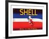 Shell Oil and Petrol-null-Framed Art Print