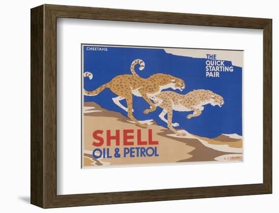 Shell Oil & Petrol Cheetahs-null-Framed Art Print