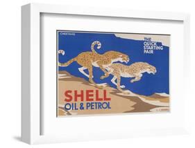 Shell Oil & Petrol Cheetahs-null-Framed Art Print