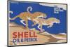 Shell Oil & Petrol Cheetahs-null-Mounted Art Print