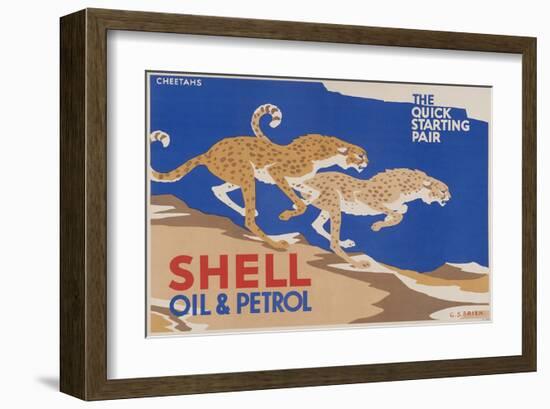 Shell Oil & Petrol Cheetahs-null-Framed Art Print