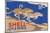 Shell Oil & Petrol Cheetahs-null-Mounted Art Print