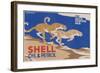 Shell Oil & Petrol Cheetahs-null-Framed Art Print