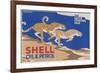 Shell Oil & Petrol Cheetahs-null-Framed Art Print