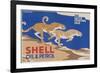 Shell Oil & Petrol Cheetahs-null-Framed Art Print