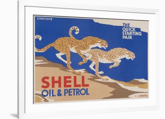 Shell Oil & Petrol Cheetahs-null-Framed Art Print