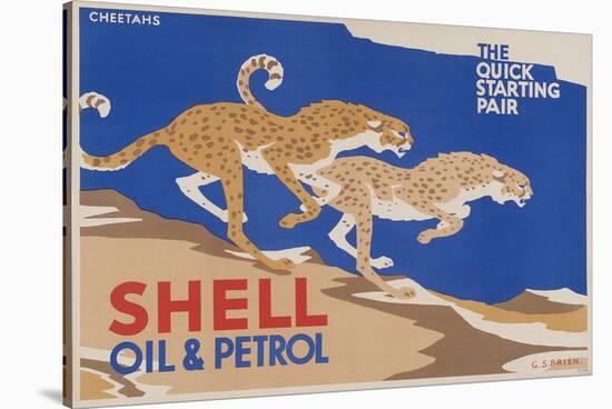 Shell Oil & Petrol Cheetahs-null-Stretched Canvas